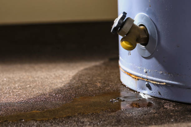 Best Water damage restoration mold remediation  in Old Tappan, NJ