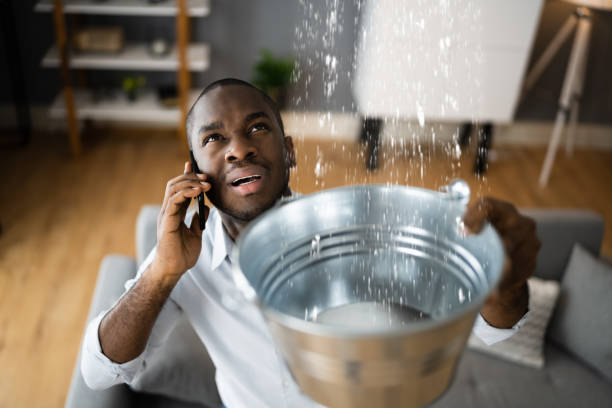 Best Ceiling water damage repair  in Old Tappan, NJ