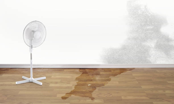 Best Water damage cleanup near me  in Old Tappan, NJ