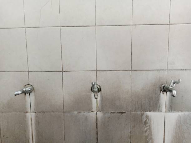 Best Sewage cleanup and water damage restoration  in Old Tappan, NJ