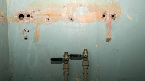 Best Ceiling water damage repair  in Old Tappan, NJ