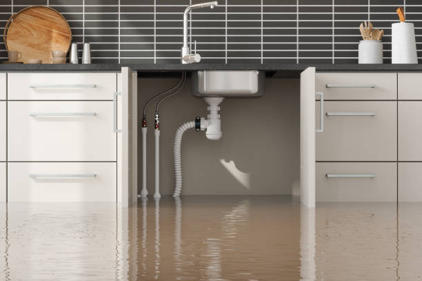 Best Residential water damage restoration  in Old Tappan, NJ